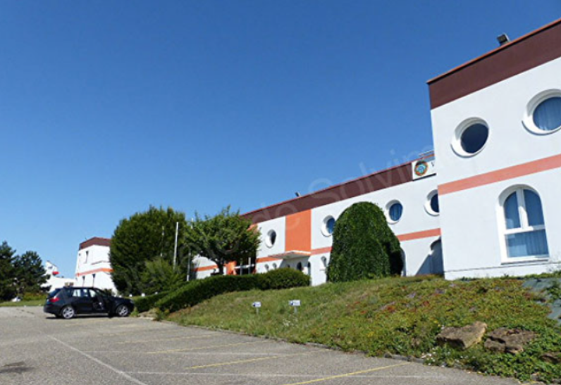 À vendre ou à louer – entrepôt divisible de 4 957 m² à Faulquemont, proche de Metz (57)